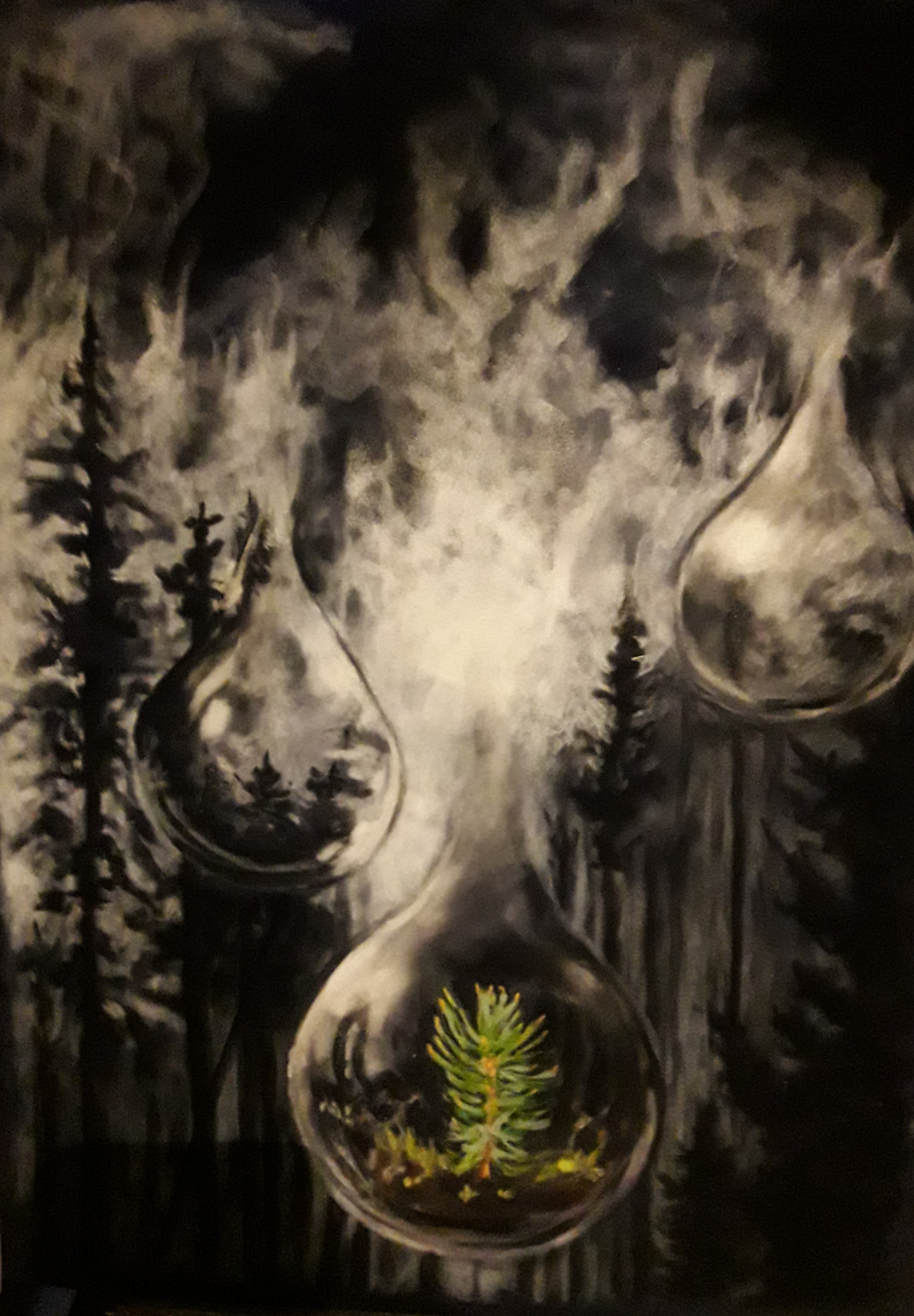 Artist: Fran Hutton